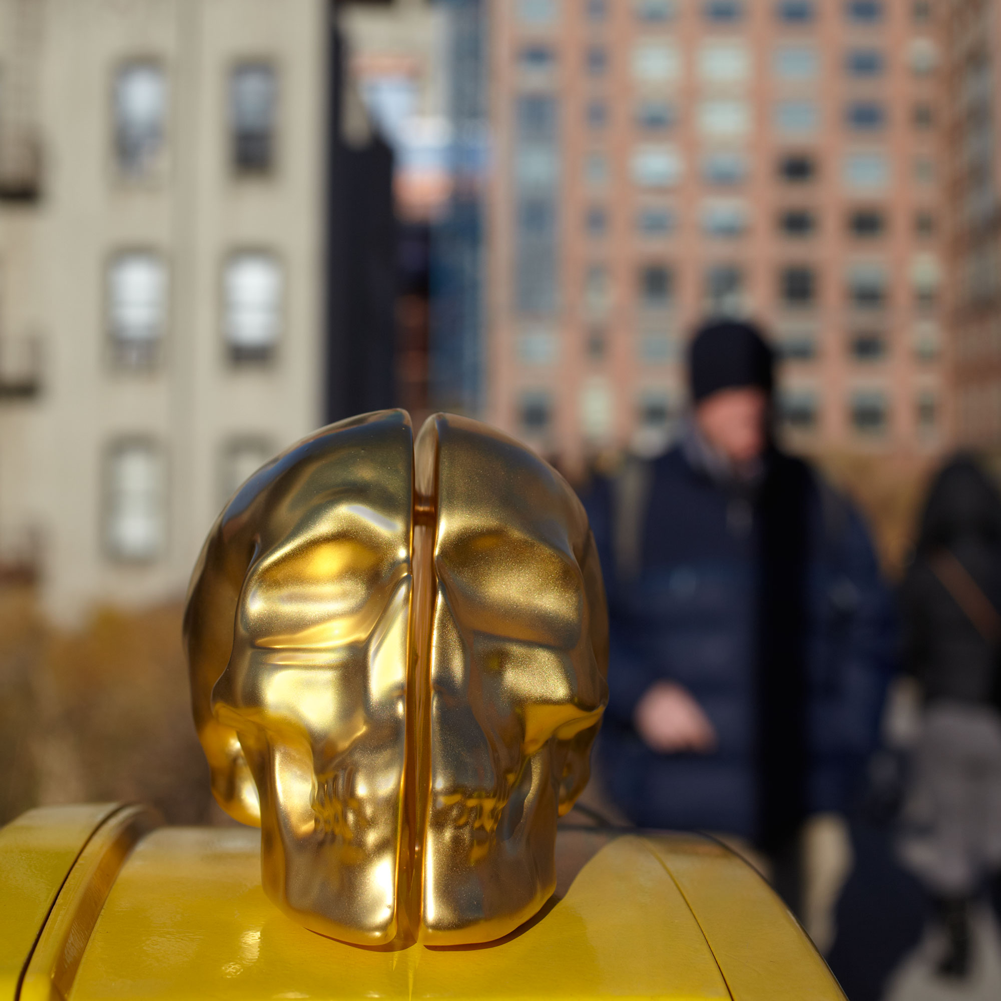 Yorick Hand painted in 24K Gold - Image 7