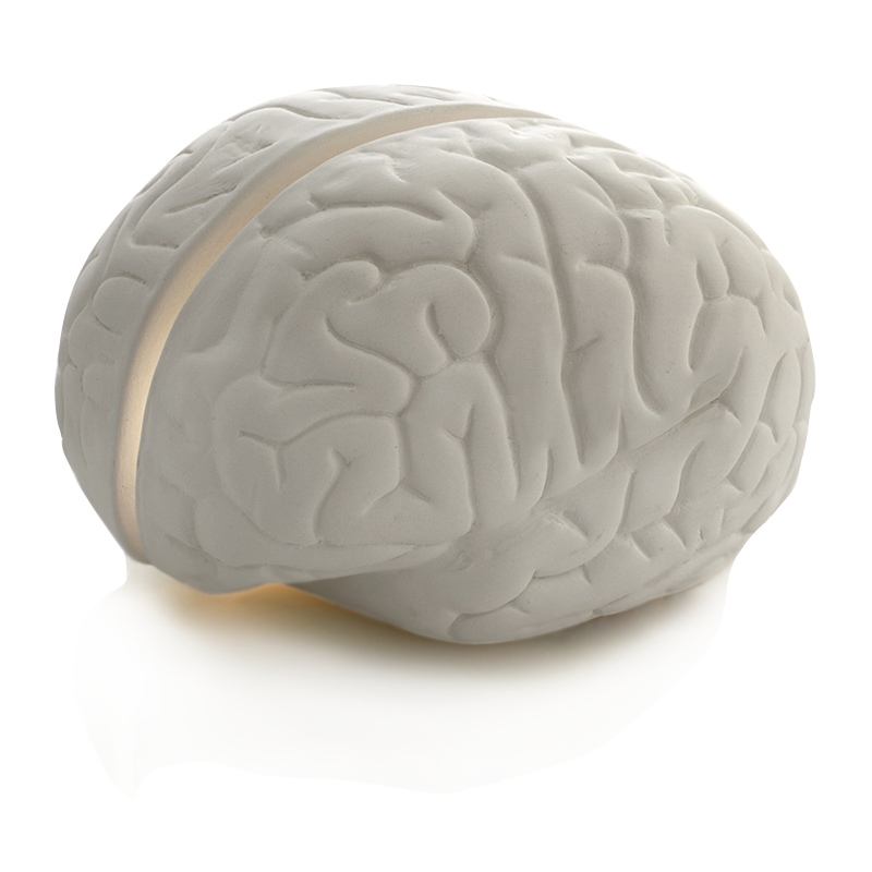 Brainstorm LED luce bianca